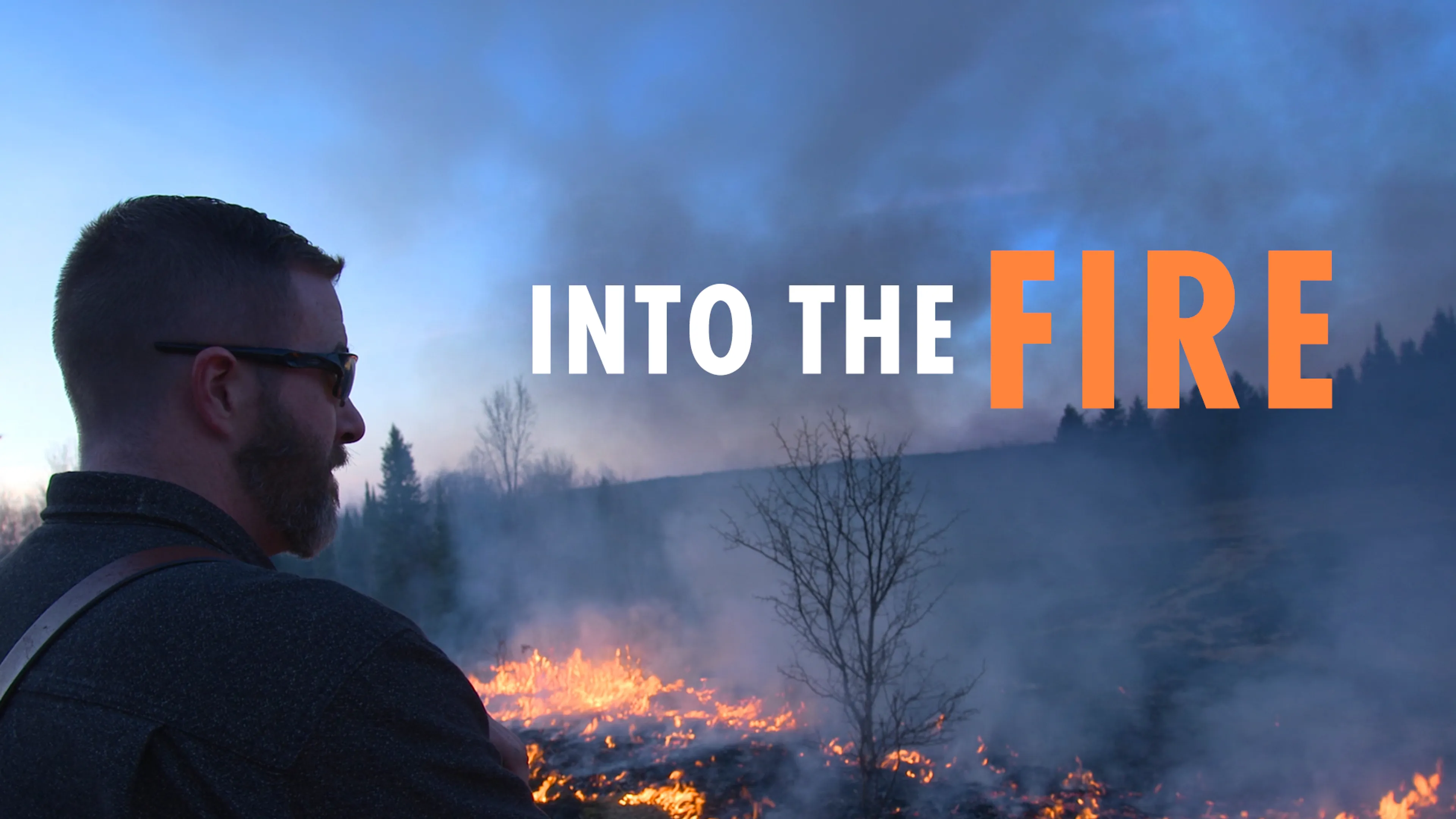 Title poster image